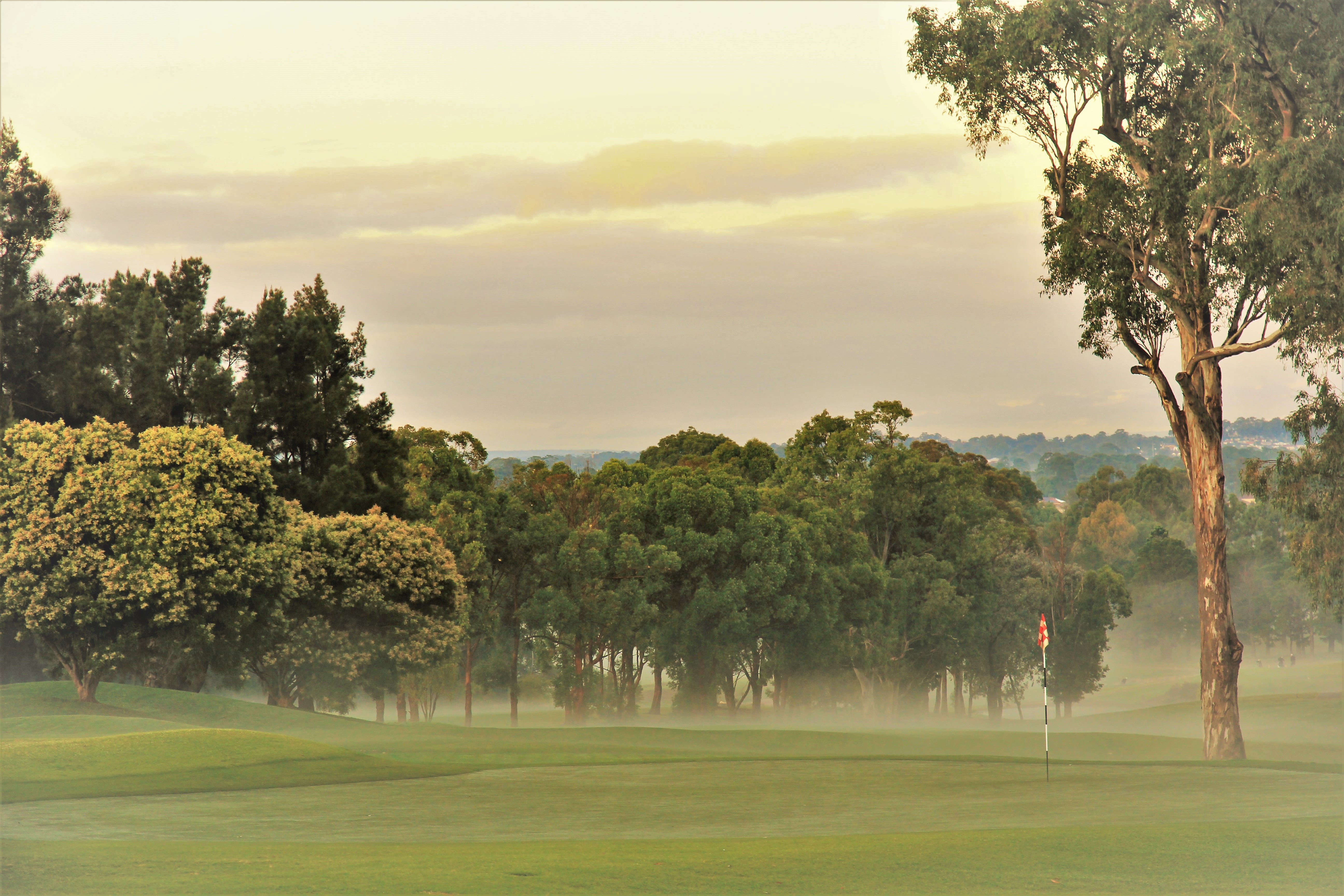 Cabramatta Senior Order Of Merit Draw